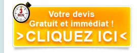 Votre devis gratuit et immédiat !